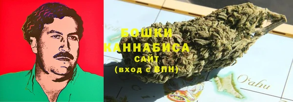 молекула духа Лагань
